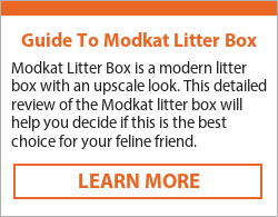 litter box for cats