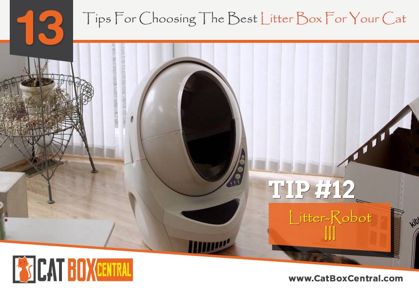 what is the best litter box